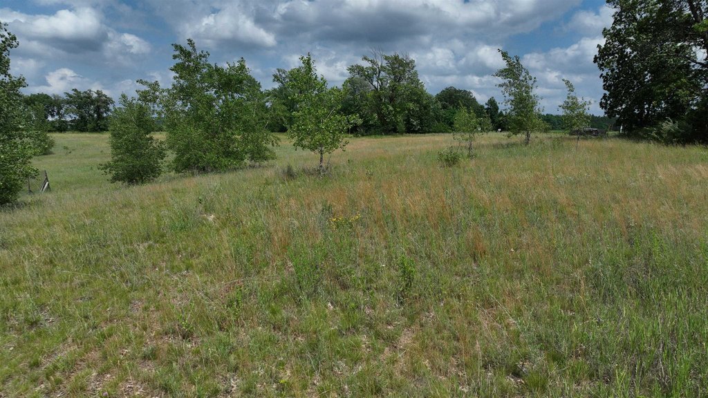Picture 12