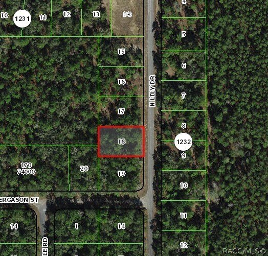 Citrus Springs Homesite Opportunity