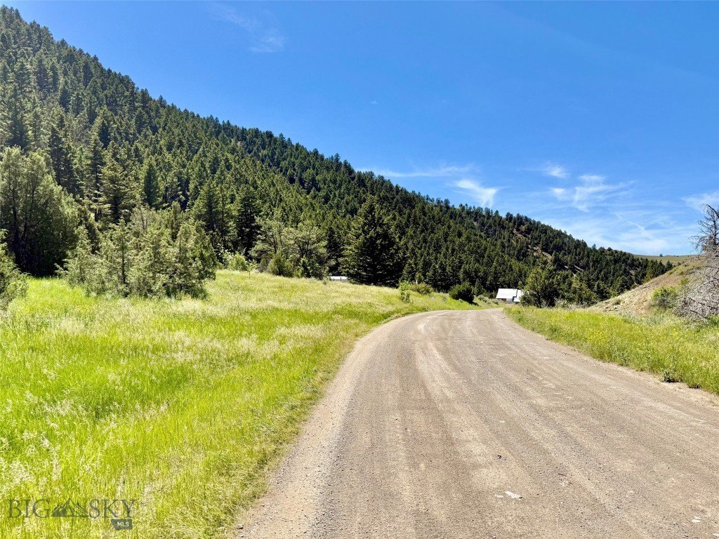 Picture 39
