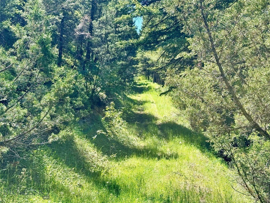 Picture 21