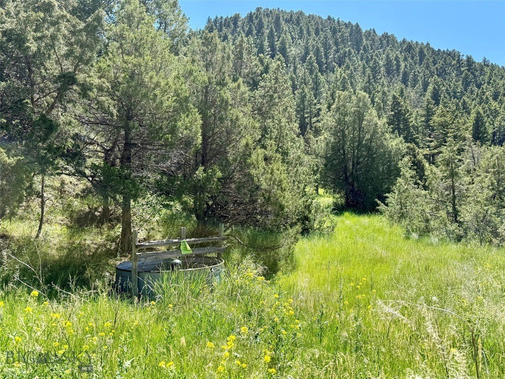 Picture 30