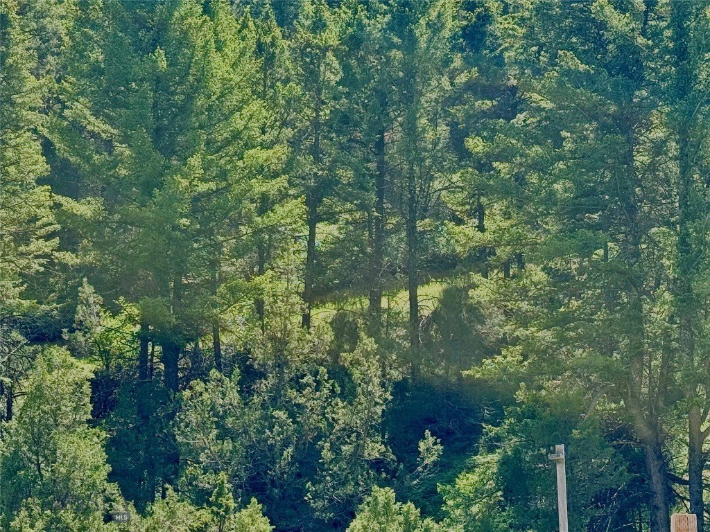 Picture 31