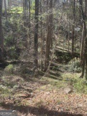 Residential Land in Hampton, GA