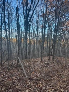 Land with Mountain Views