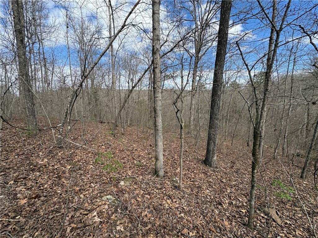 Picture 28