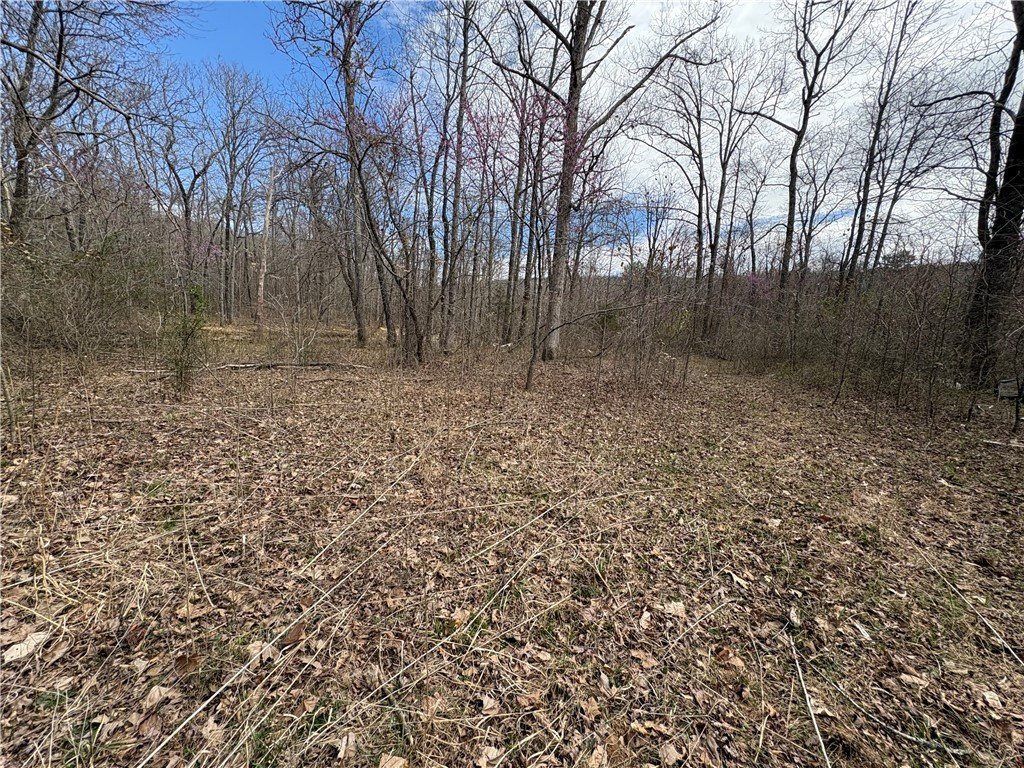 Picture 30