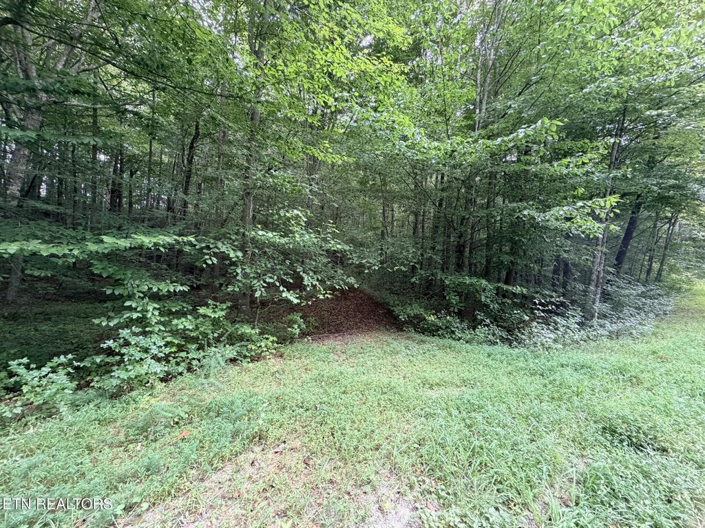Picture 8