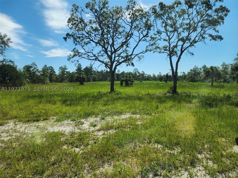 Cleared Beachfront-Adjacent Land Parcel
