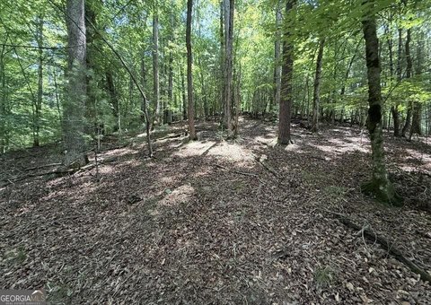 Gated Community Mountain Home Lot