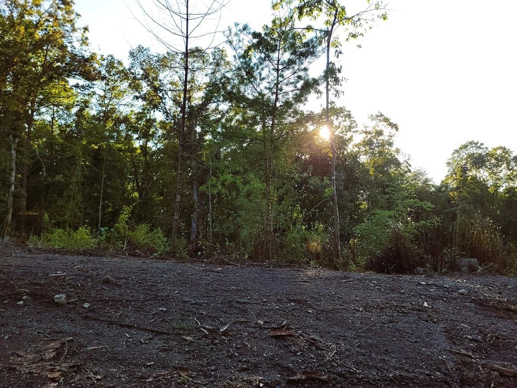 Picture 10