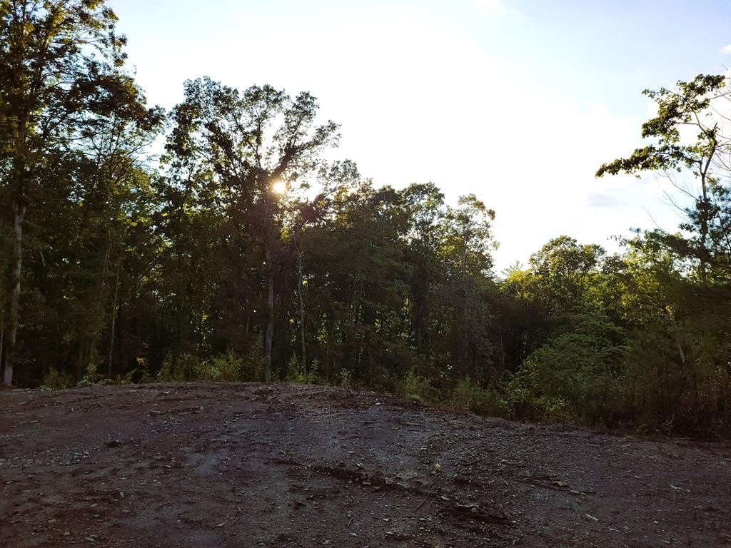 Picture 21