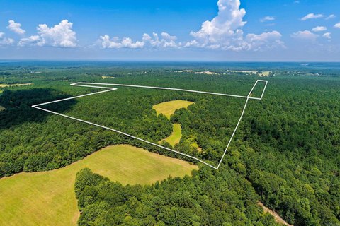 Timbered Agricultural Land