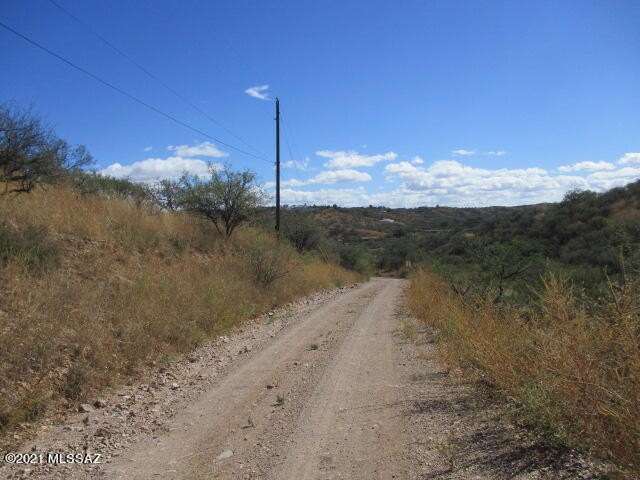 Picture 5