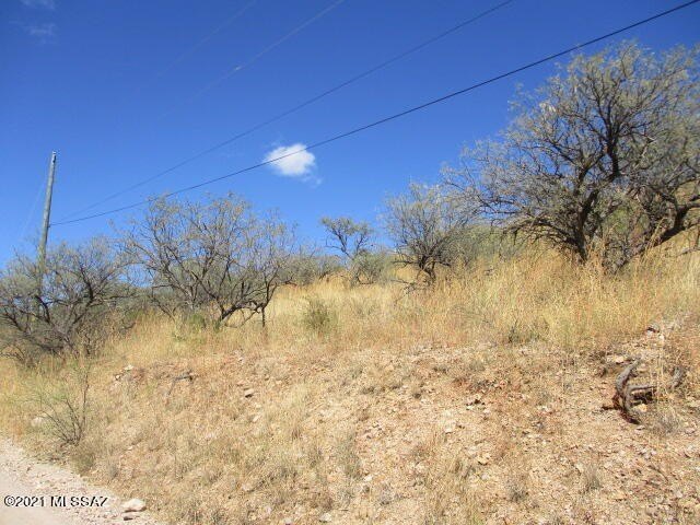 Picture 3