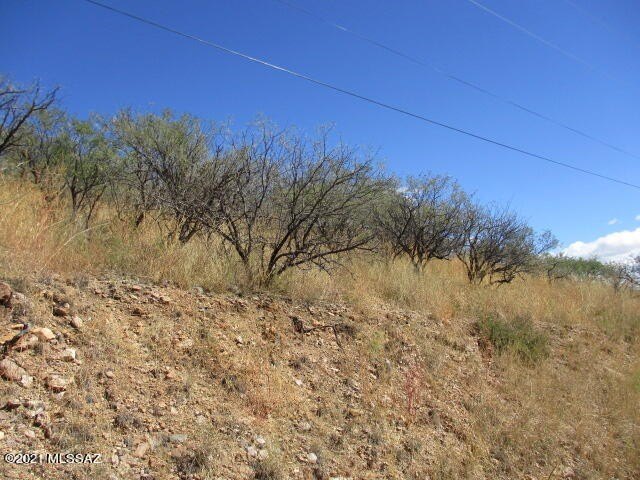 Picture 2