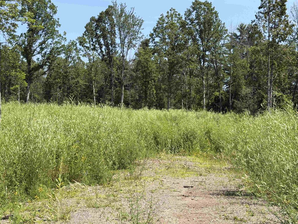 Picture 9