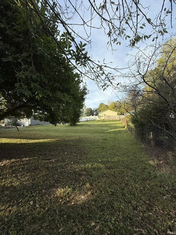 Picture 6