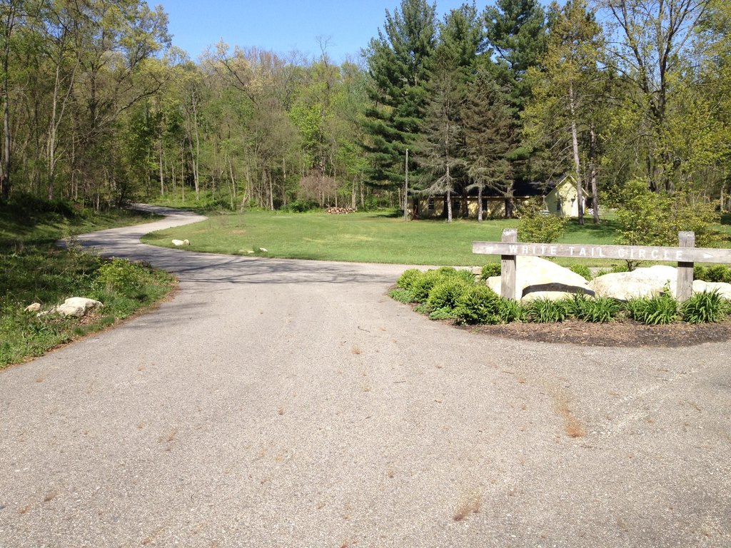 Picture 4