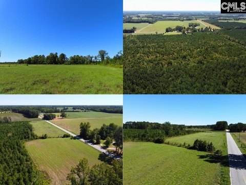 LOTS AND ACREAGE, Hartsville, SC