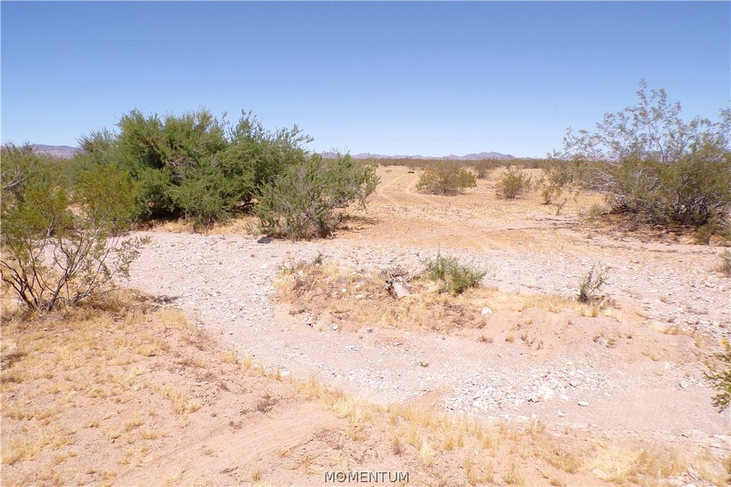 Picture 9