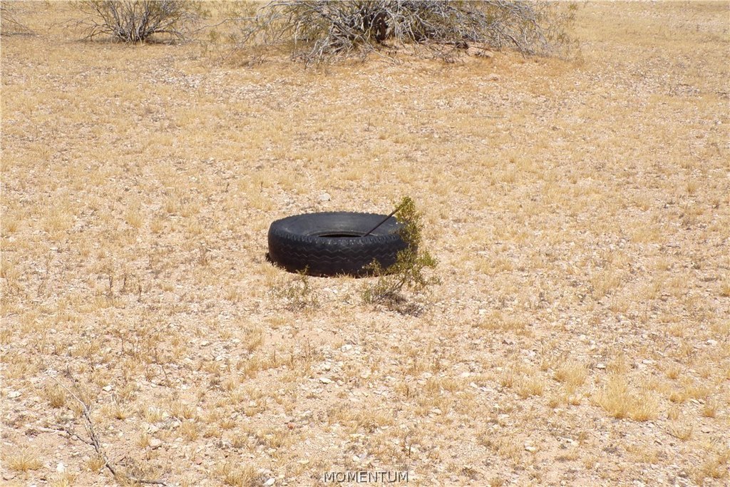 Picture 28