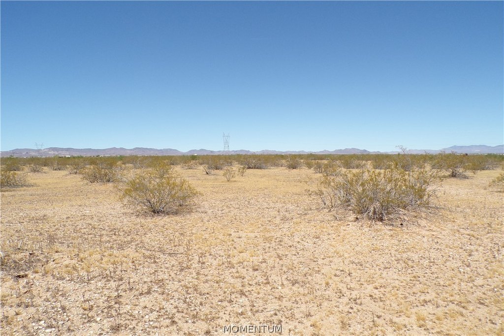 Picture 25