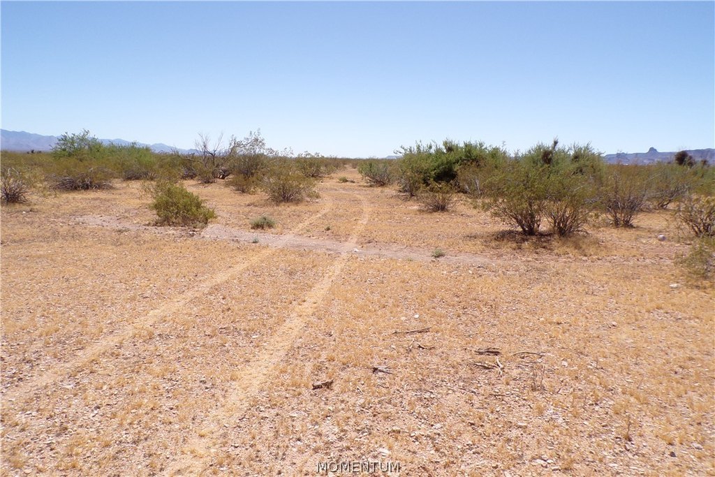 Picture 6