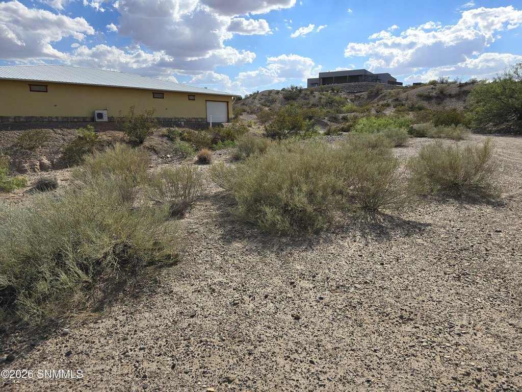 Picture 14