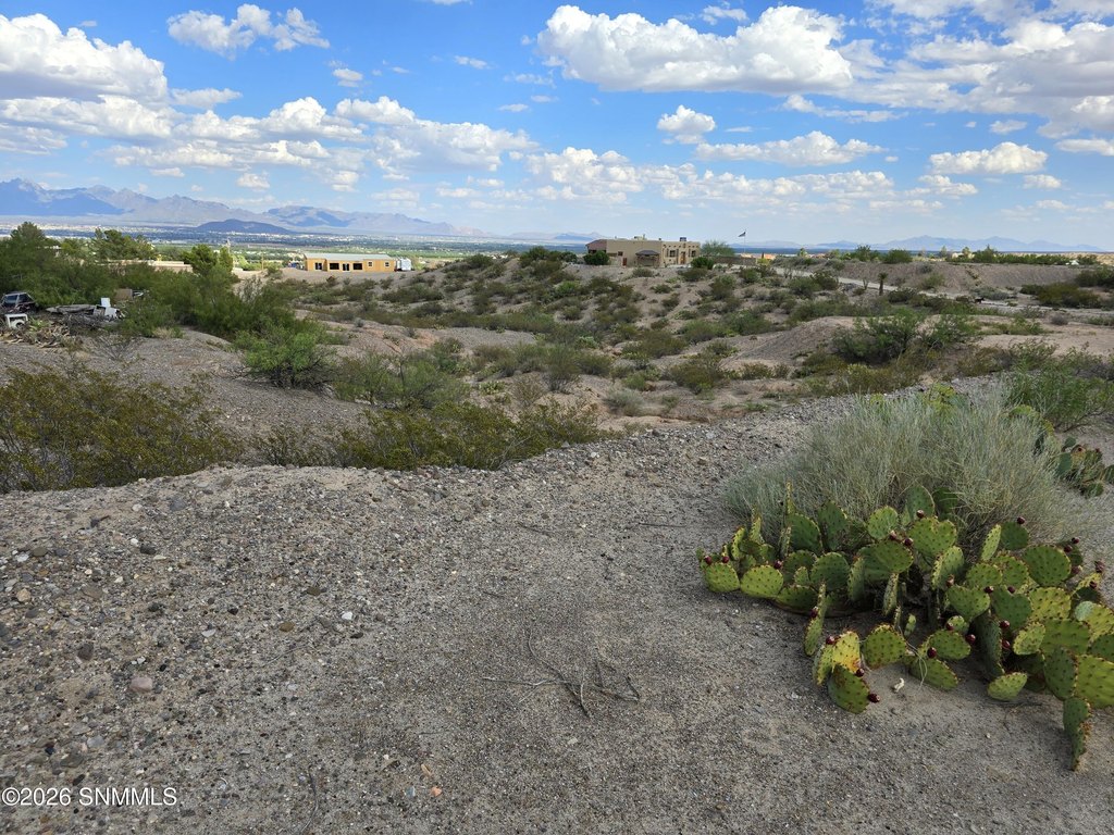 Picture 24