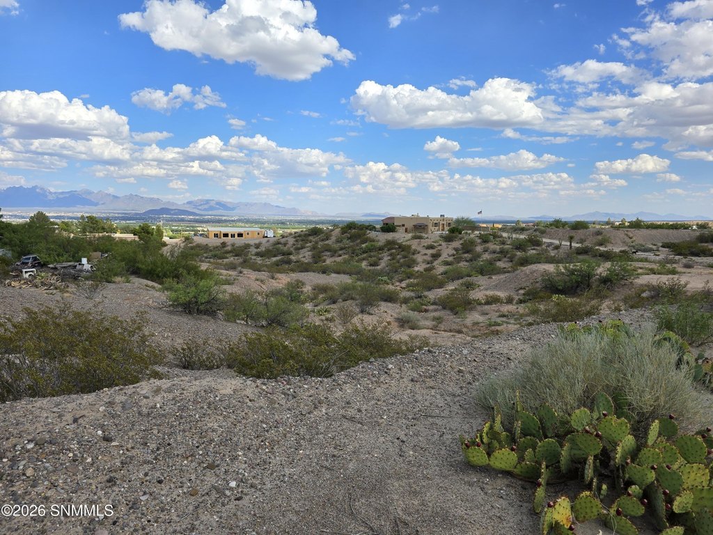 Picture 26