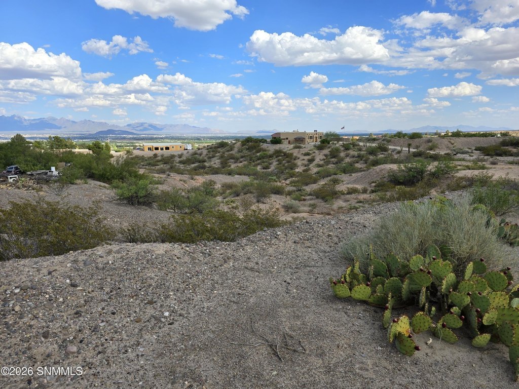 Picture 25