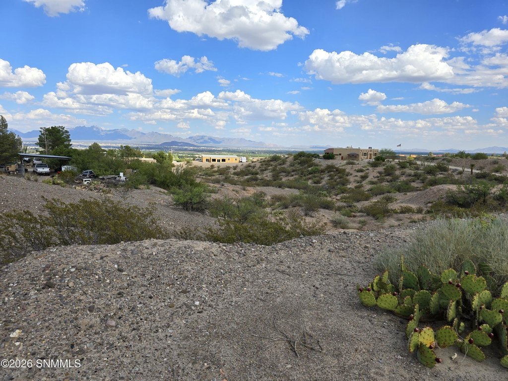 Picture 23