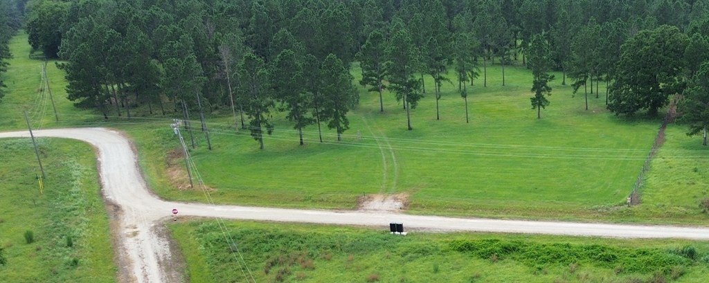Picture 4