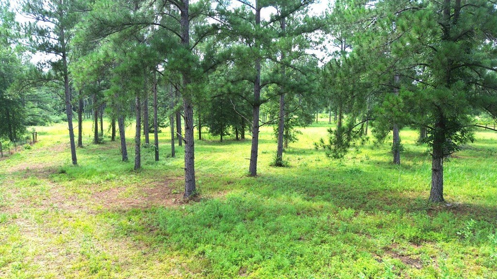Picture 11