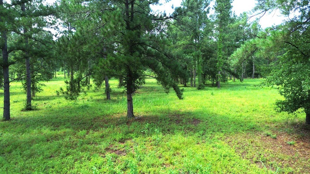 Picture 12