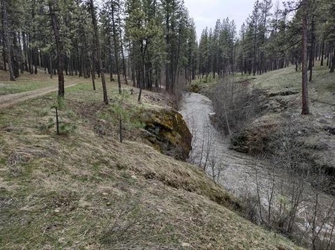 Treed Hunting Land with On-Site Power
