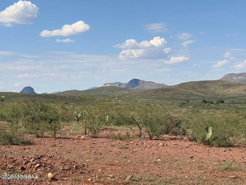 Picture 14