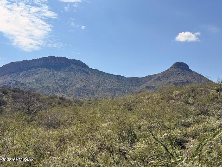 Picture 31
