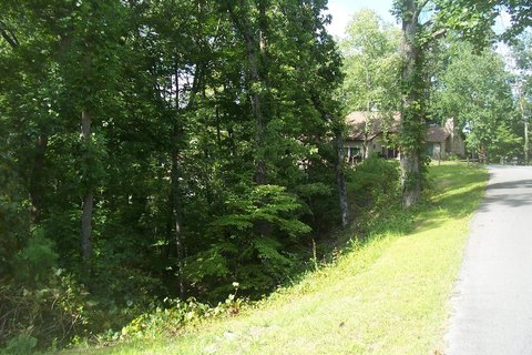 Pigeon Forge Wooded Corner Lot