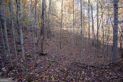 LAND - Murphy, NC