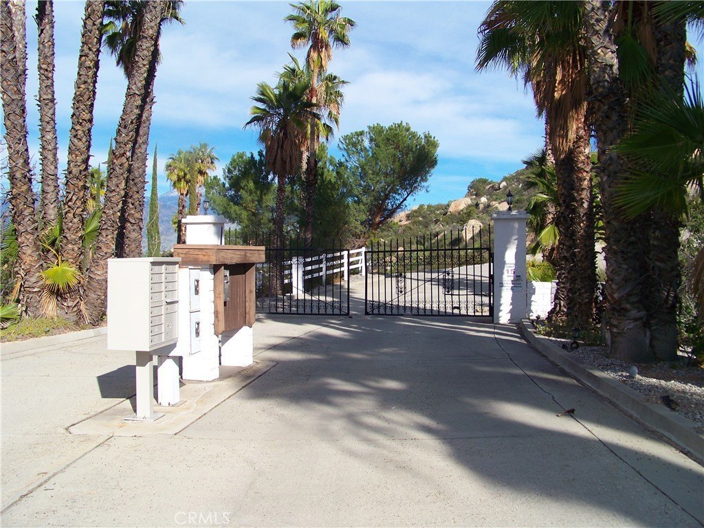Picture 15