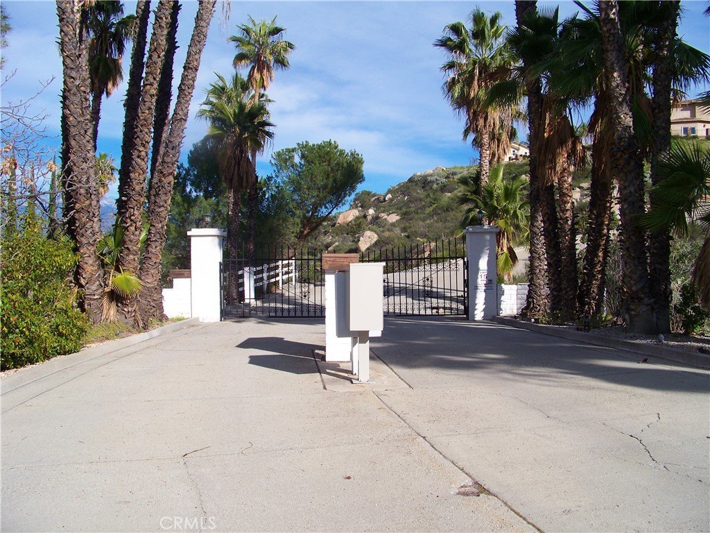 Picture 19