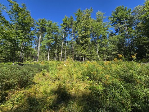 Land, Naples, ME