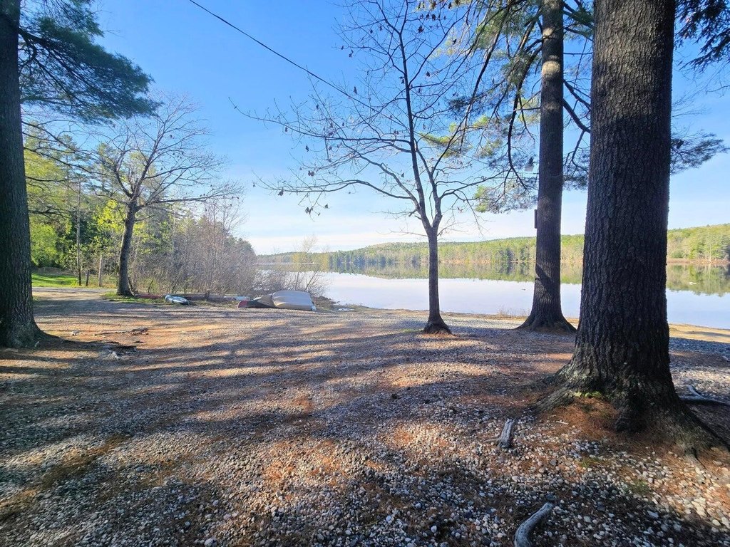 Picture 15