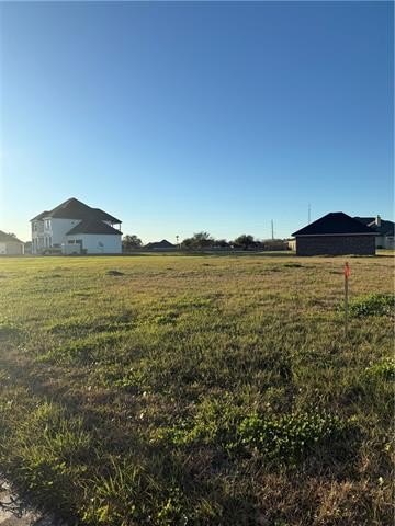 Picture 6