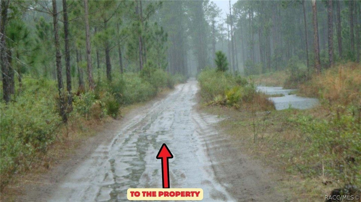 Recreational Land Near River Ranch