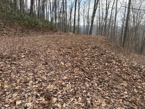 Cleared Wooded Lot in Community