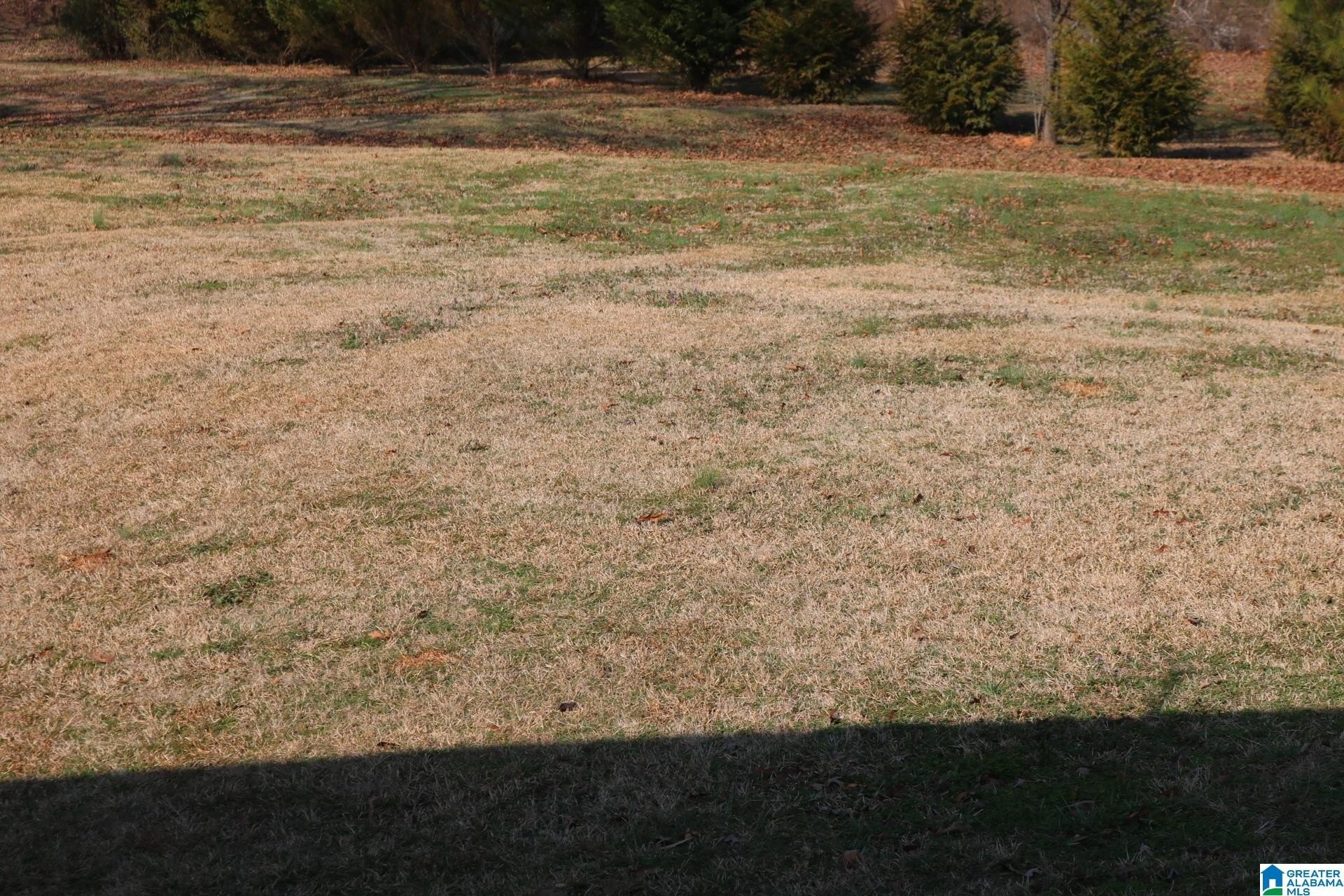 Cleared Lot Ready to Build