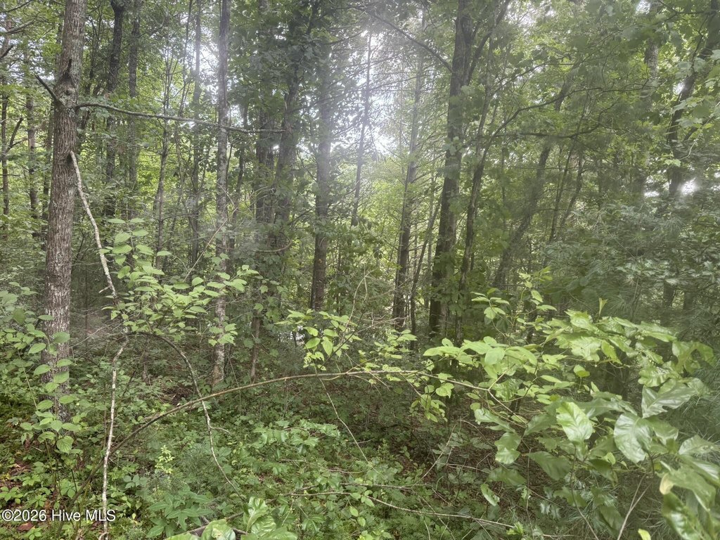 Picture 13