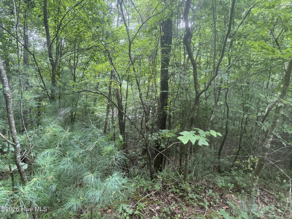 Picture 14